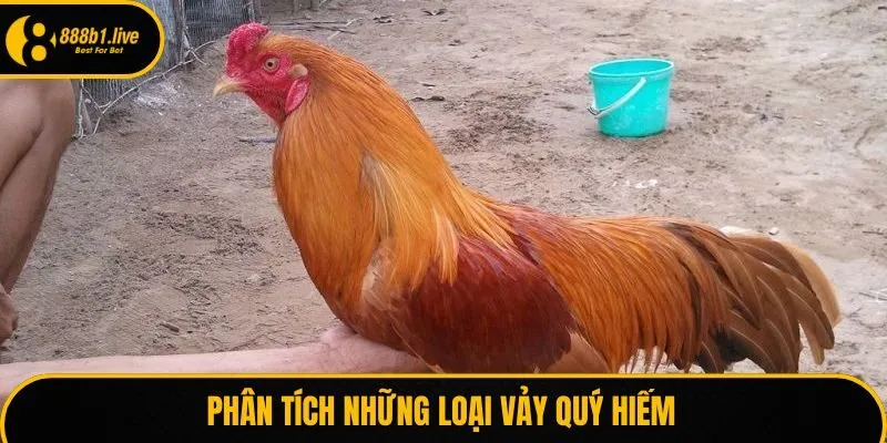Phân tích những loại vảy quý hiếm